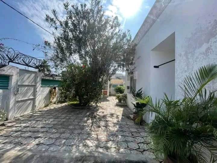 Cour pavée et arbres de la villa