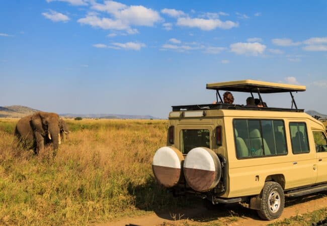 Véhicule de safari et éléphant dans une réserve du Kenya